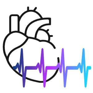 cœur avec un rythme cardiaque normal
